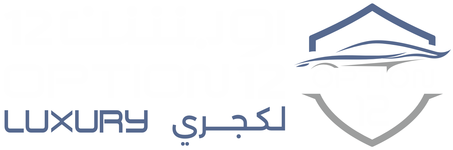 شركة أوبشن 12 لكجري
