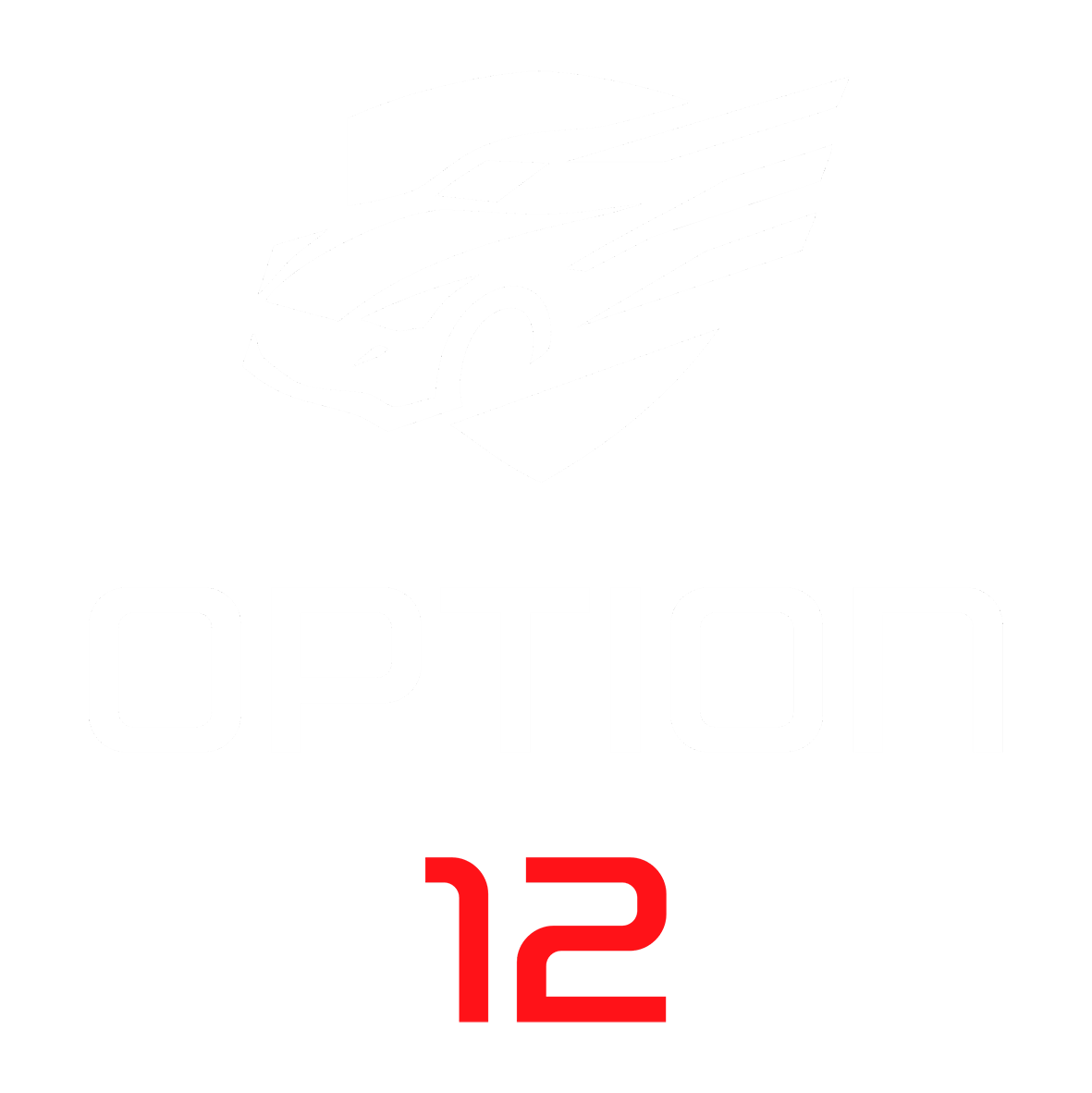 أوبشن 12 لكجزي