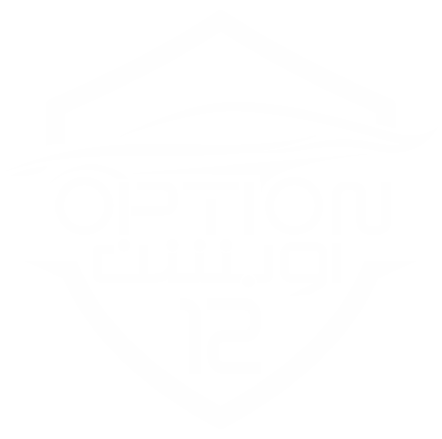 الشعار شركة اوبشن 12  الجديد ابيض3